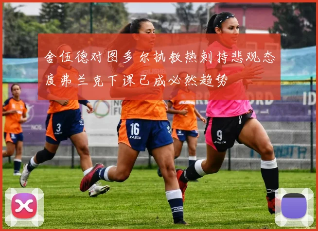 舍伍德对图多尔执教热刺持悲观态度弗兰克下课已成必然趋势