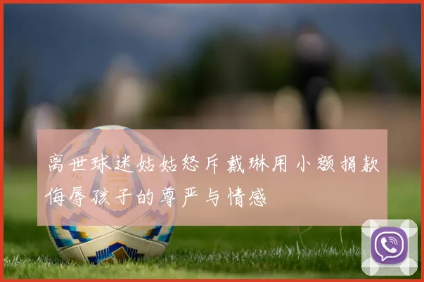 离世球迷姑姑怒斥戴琳用小额捐款侮辱孩子的尊严与情感
