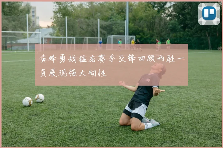 黄蜂勇战猛龙赛季交锋回顾两胜一负展现强大韧性