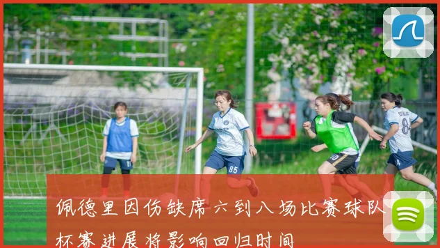 佩德里因伤缺席六到八场比赛球队杯赛进展将影响回归时间